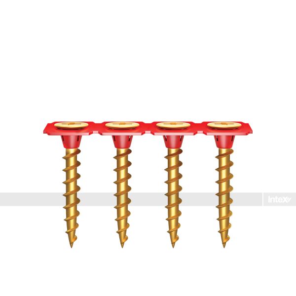 Intex ZipStrip® Drywall to Soft Timber Collated Screws 6g x 25mm